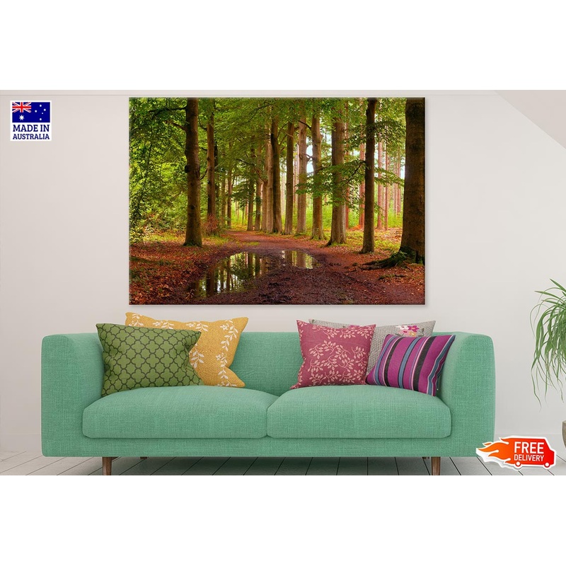 Wet Road & Row of Trees Photograph Print 100% Australian Made