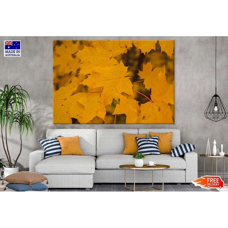 Yellow Autumn Leaves Closeup Photograph Print 100% Australian Made