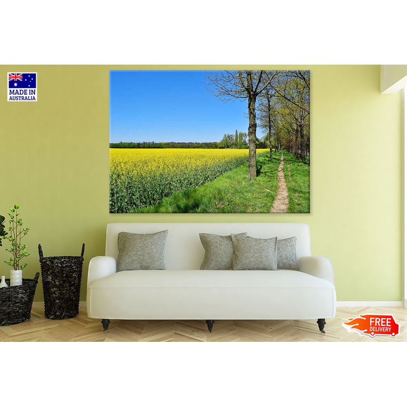 Yellow Flower Field & Trees Row Photograph Print 100% Australian Made