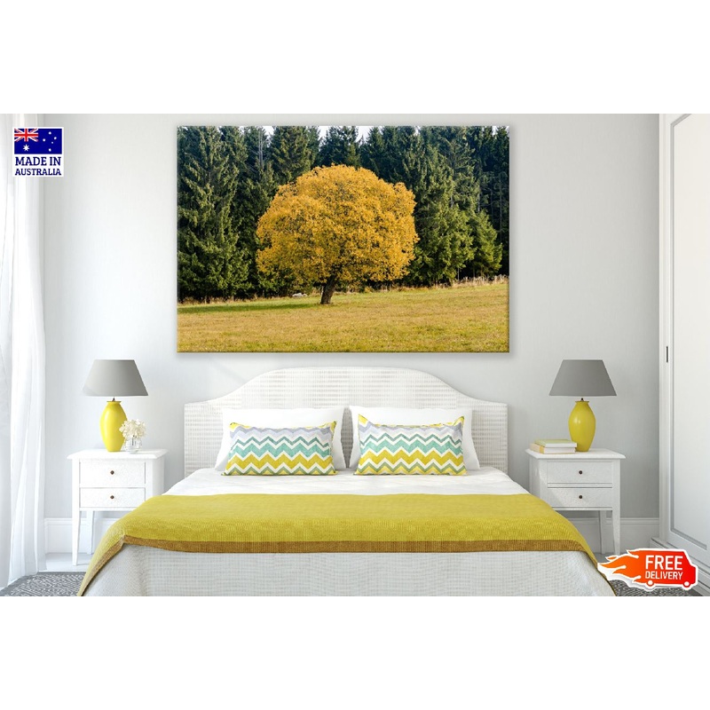 Yellow Leaf Tree & Forest Photograph Print 100% Australian Made