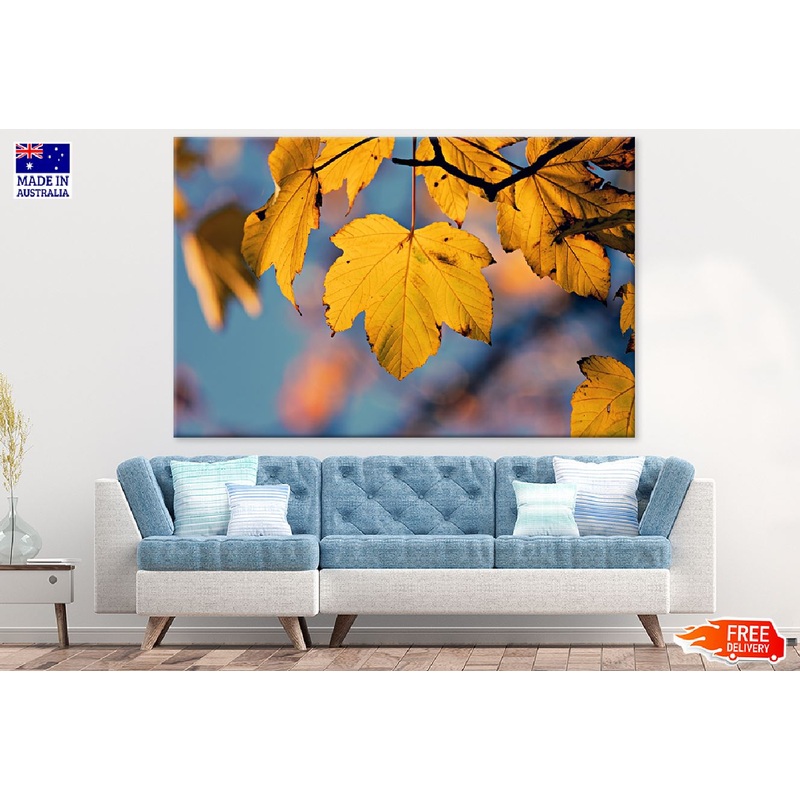 Yellow Leaves Closeup Photograph Print 100% Australian Made