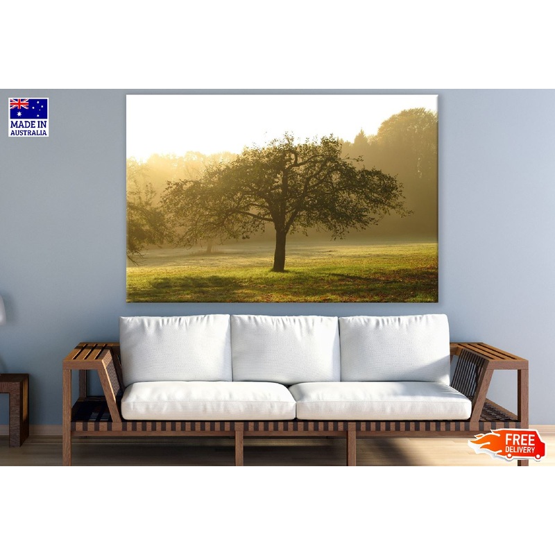 Alone Old Tree Sunset Photograph Print 100% Australian Made