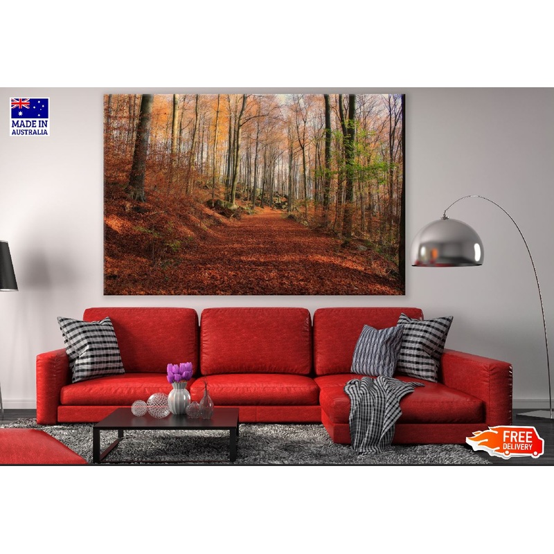 Autumn Forest & Pathway Photograph Print 100% Australian Made