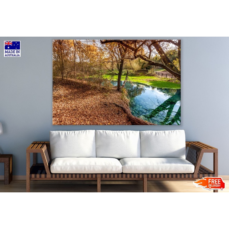 Autumn Forest With Lake Photograph Print 100% Australian Made