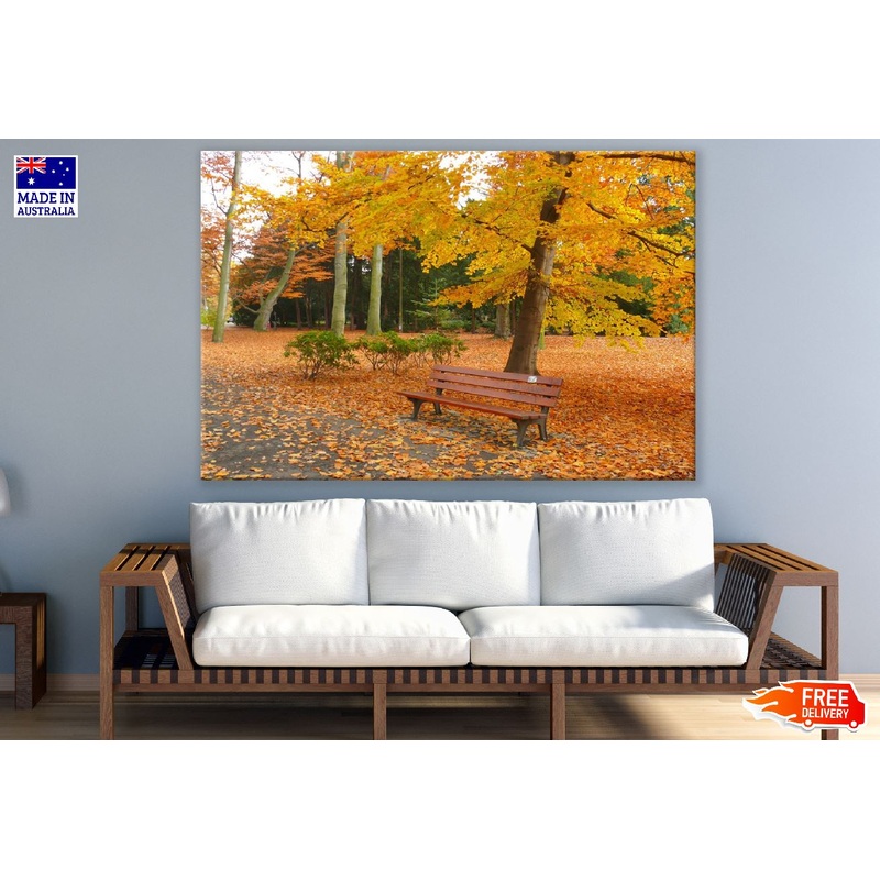 Autumn Garden View Photograph Print 100% Australian Made