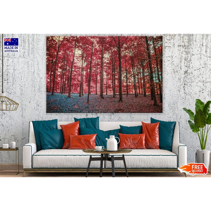 Autumn Red Blossom Trees Forest Photograph Print 100% Australian Made