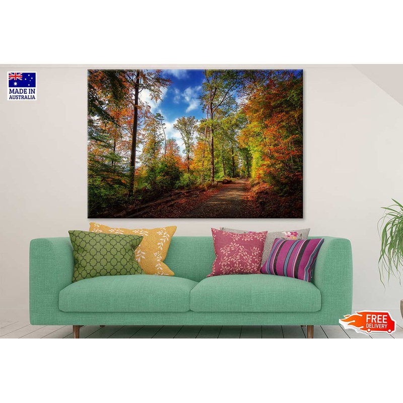 Autumn Tree Forest & Road Photograph Print 100% Australian Made