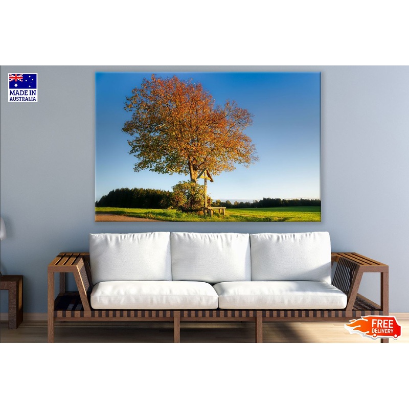 Autumn Tree in Grass Field Photograph Print 100% Australian Made