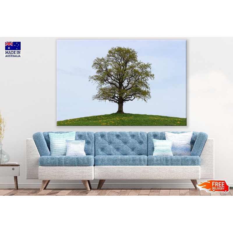 Autumn Tree on Mountain & Sky Photograph Print 100% Australian Made