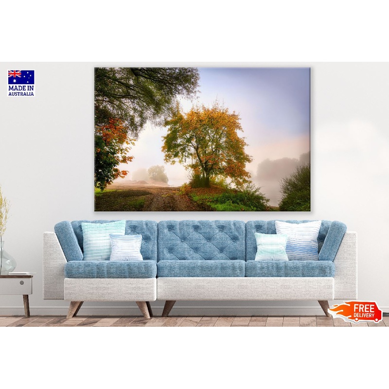 Autumn Trees on Pathway Photograph Print 100% Australian Made