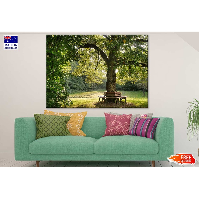 Bench Under Tree Photograph Print 100% Australian Made