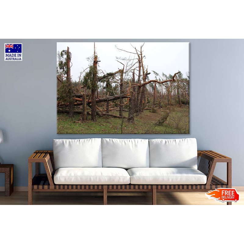 Broken Trees Photograph Print 100% Australian Made