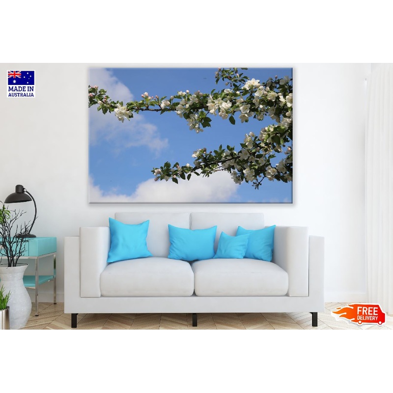 Cherry Blossom Tree Branch View Photograph Print 100% Australian Made