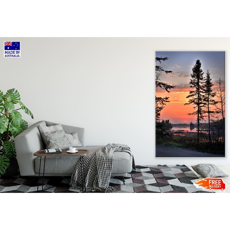 Tall Spruce Near the lake Sunset Photograph Print 100% Australian Made