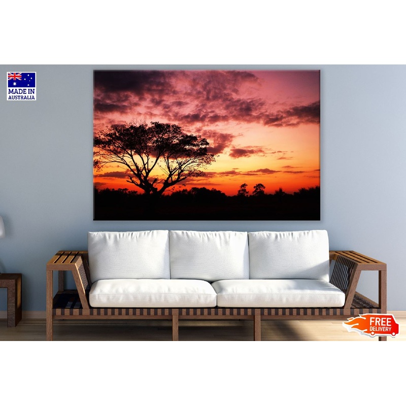 Tree at Sunset View Photograph Print 100% Australian Made