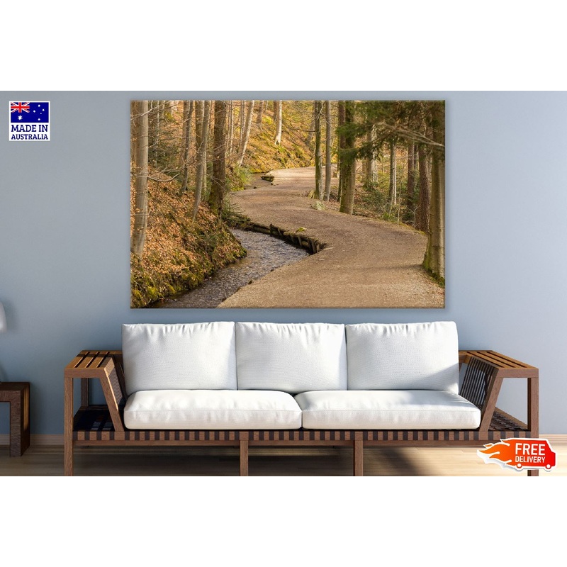Tree Bark & Forest Road Photograph Print 100% Australian Made