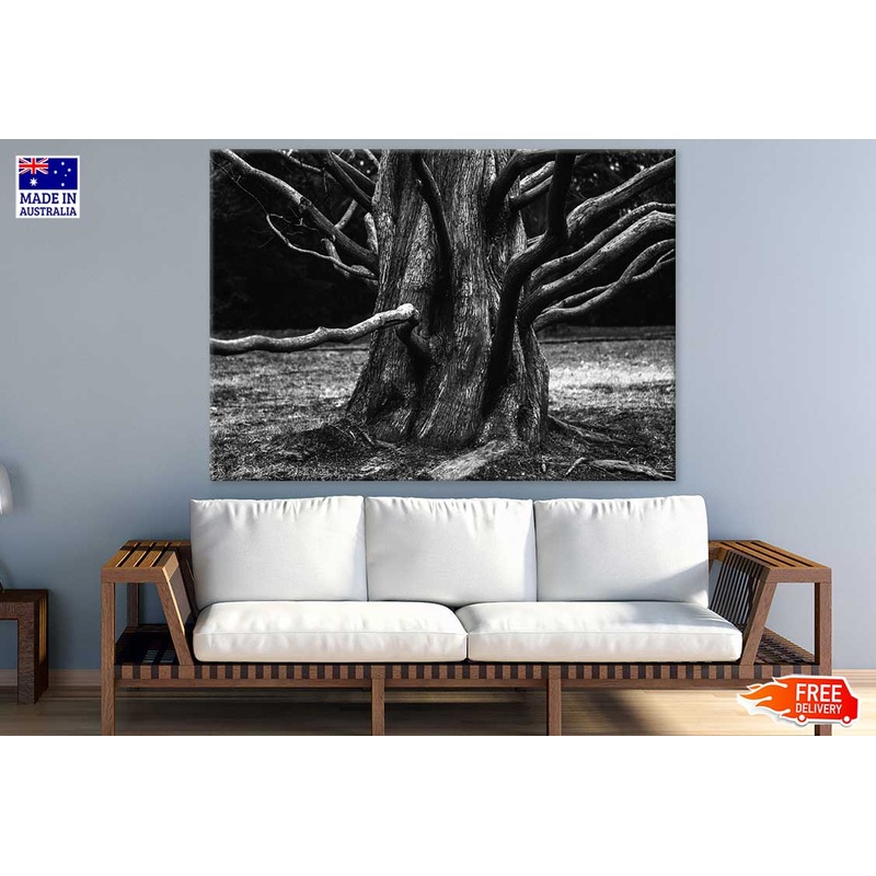 Tree Closeup B&W Photograph Print 100% Australian Made