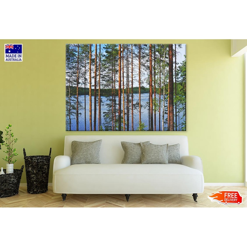 Tree Forest in Lake Photograph Print 100% Australian Made