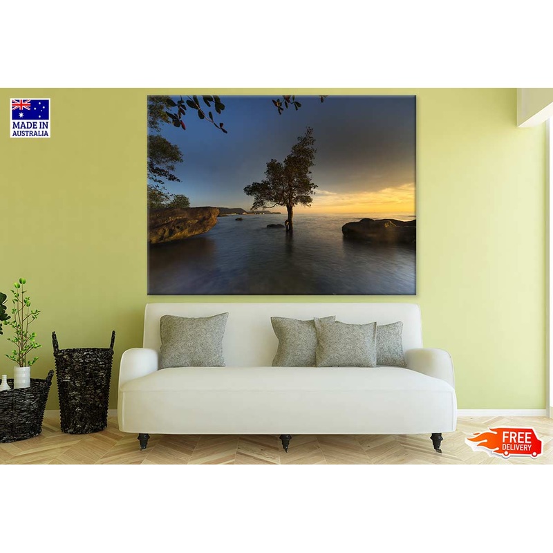 Tree in Sea Sunset Photograph Print 100% Australian Made