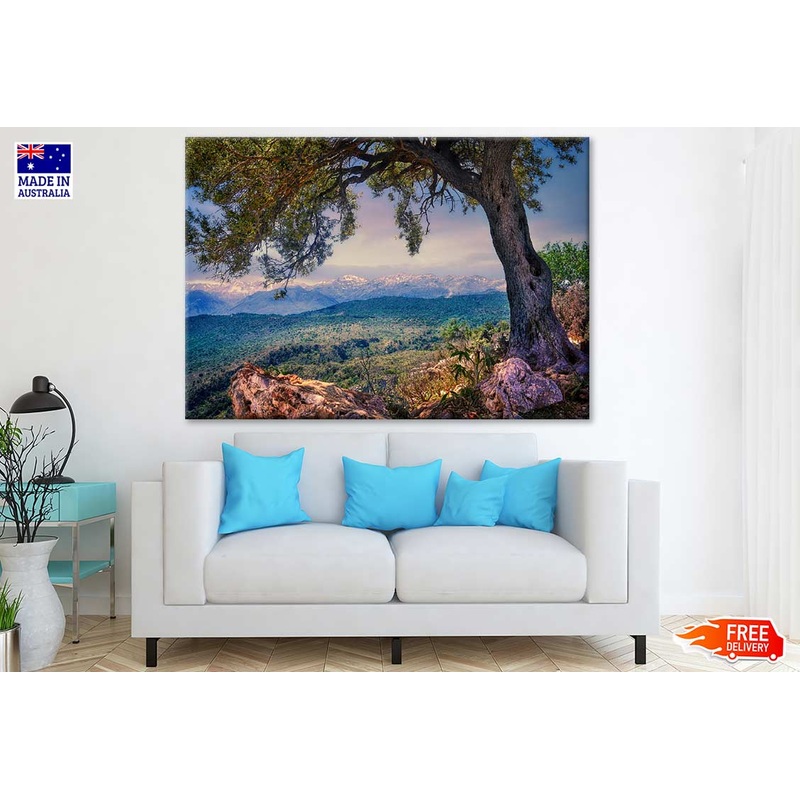Tree & Mountain Scenery Photograph Print 100% Australian Made