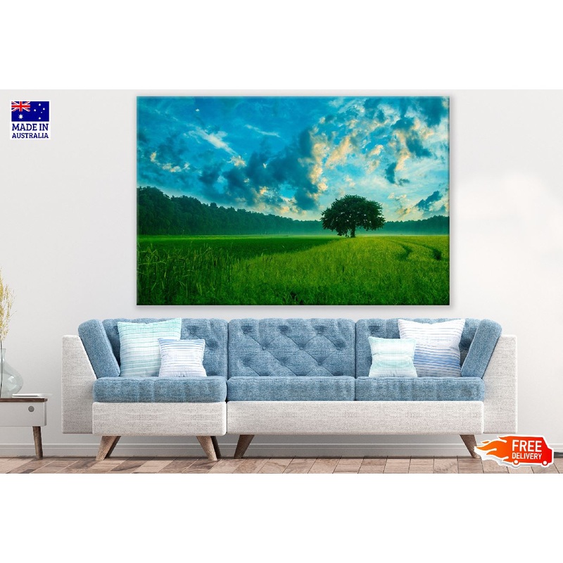 Tree on Rice Field Under Blue Sky Photograph Print 100% Australian Made