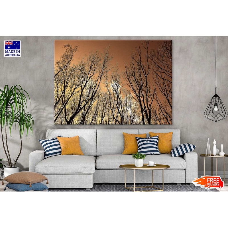 Tree & Sky Photograph Print 100% Australian Made