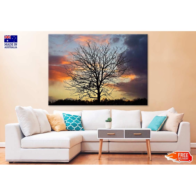 Tree with Birds & Sunset Sky Photograph Print 100% Australian Made