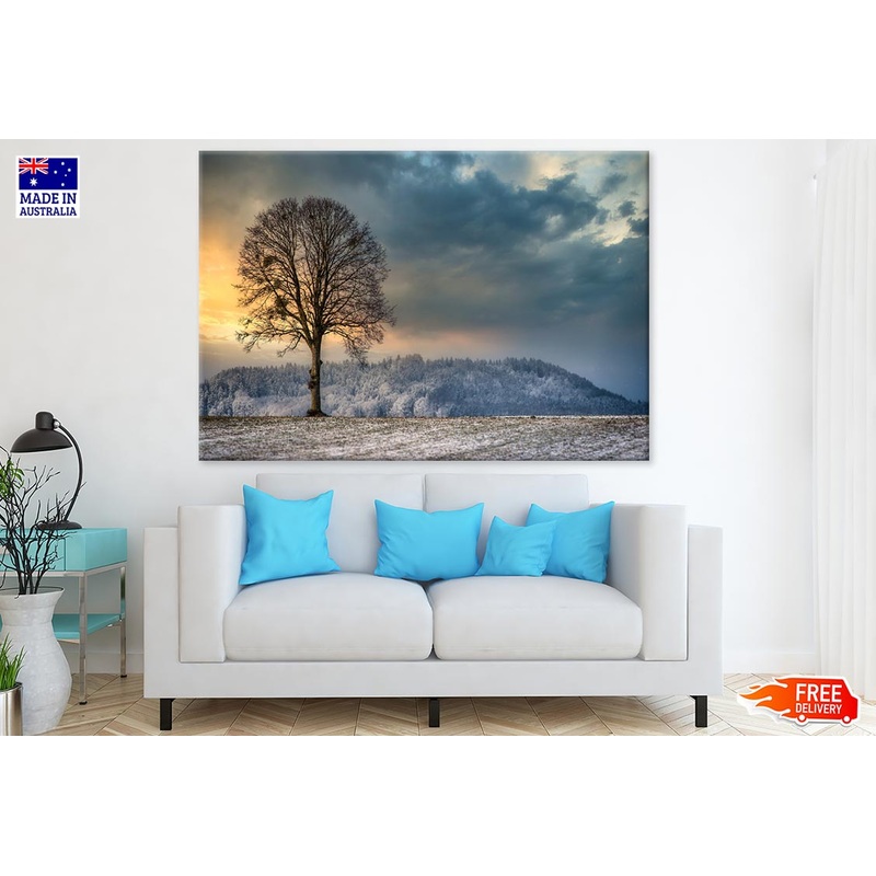 Tree Without Leaves on Snow Covered Field Photograph Print 100% Australian Made