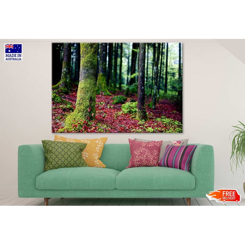 Trees Closeup Photograph Print 100% Australian Made