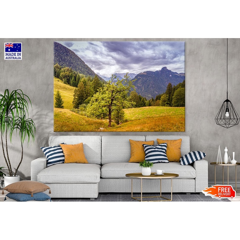 Trees in Field  Photograph Print 100% Australian Made