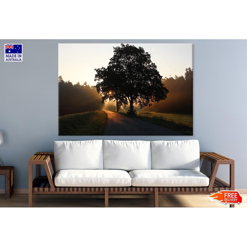 Trees Near Road Photograph Print 100% Australian Made