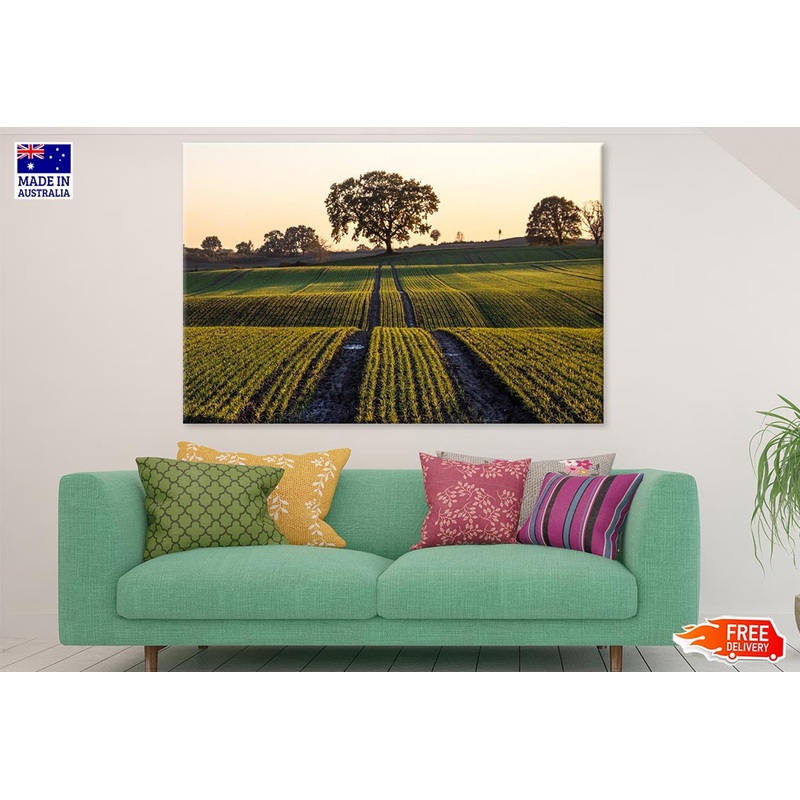 Trees on Field Scenery Photograph Print 100% Australian Made