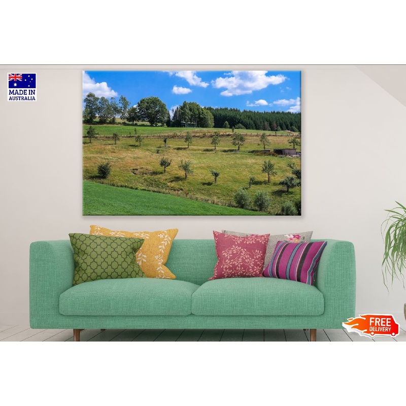 Trees on Hill in Shrubland Photograph Print 100% Australian Made