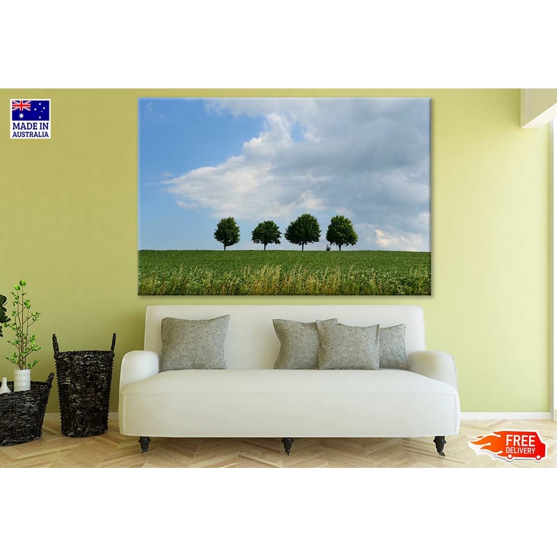 Trees on Hill Photograph Print 100% Australian Made
