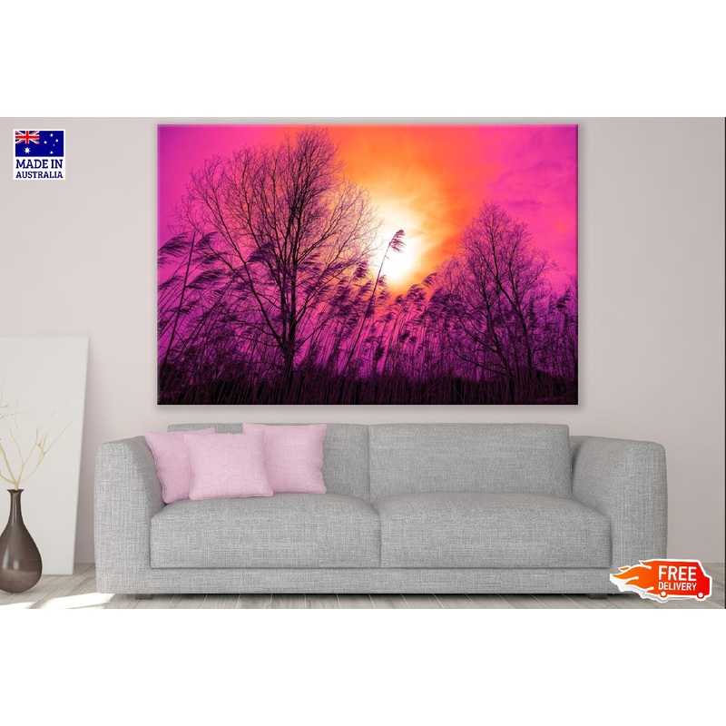 Trees & Pink Color Sky View Photograph Print 100% Australian Made