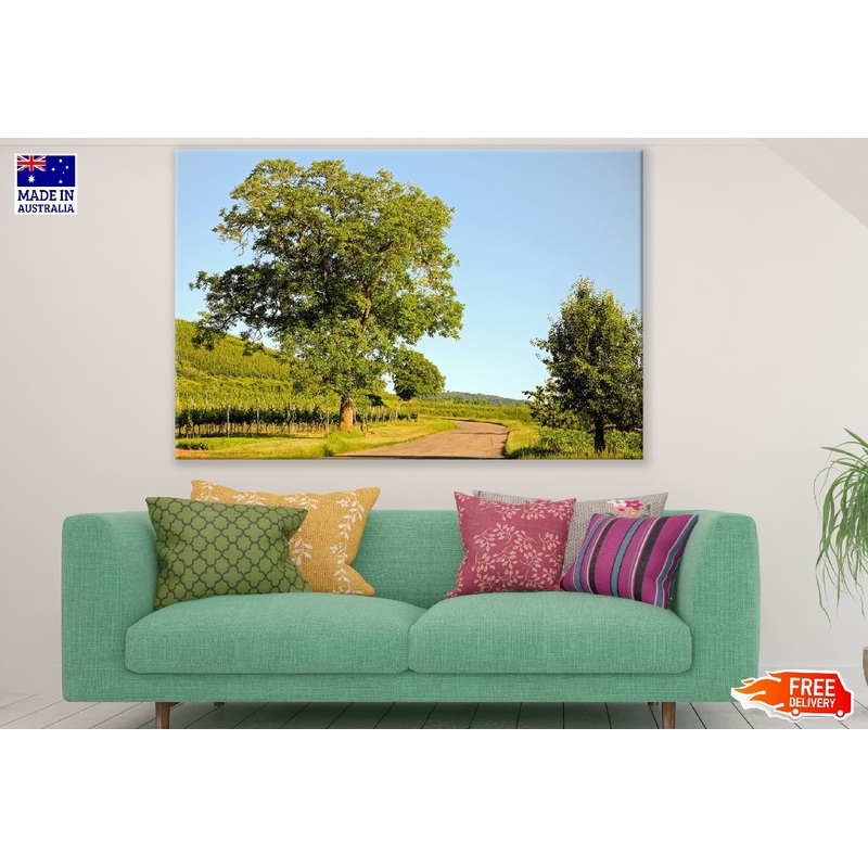 Trees with Pathway Photograph Print 100% Australian Made