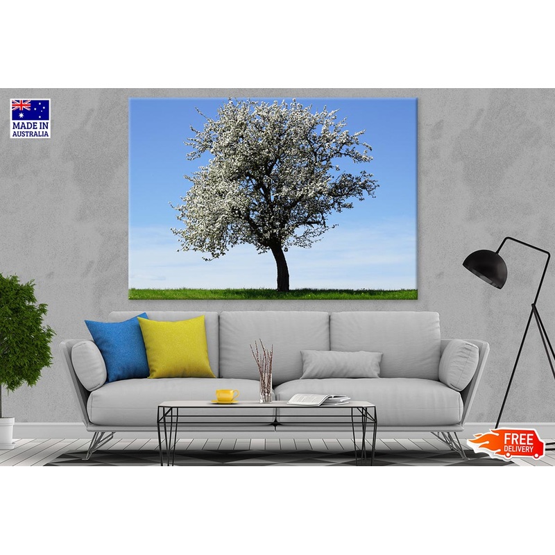 White Flower Tree View Photograph Print 100% Australian Made