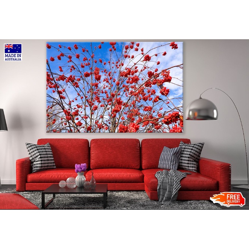 Winter Red Berries Tree Photograph Print 100% Australian Made