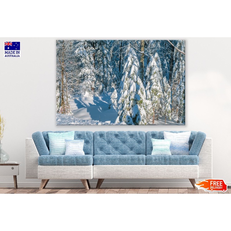 Winter Trees Forest Photograph Print 100% Australian Made