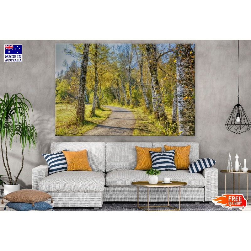 Yellow Autumn Tree Pathway Photograph Print 100% Australian Made