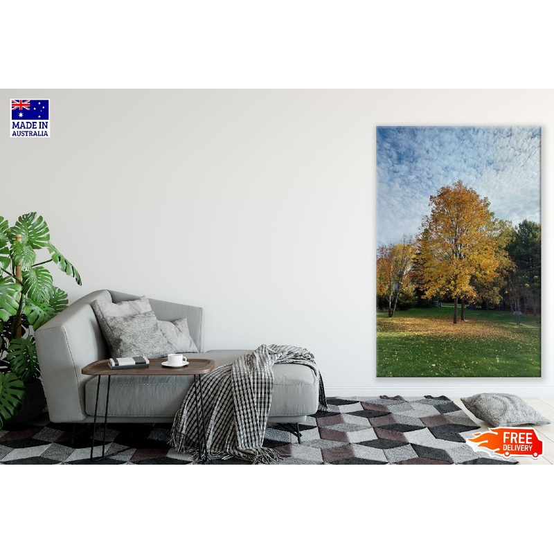 Yellow Autumn Trees in Garden Photograph Print 100% Australian Made