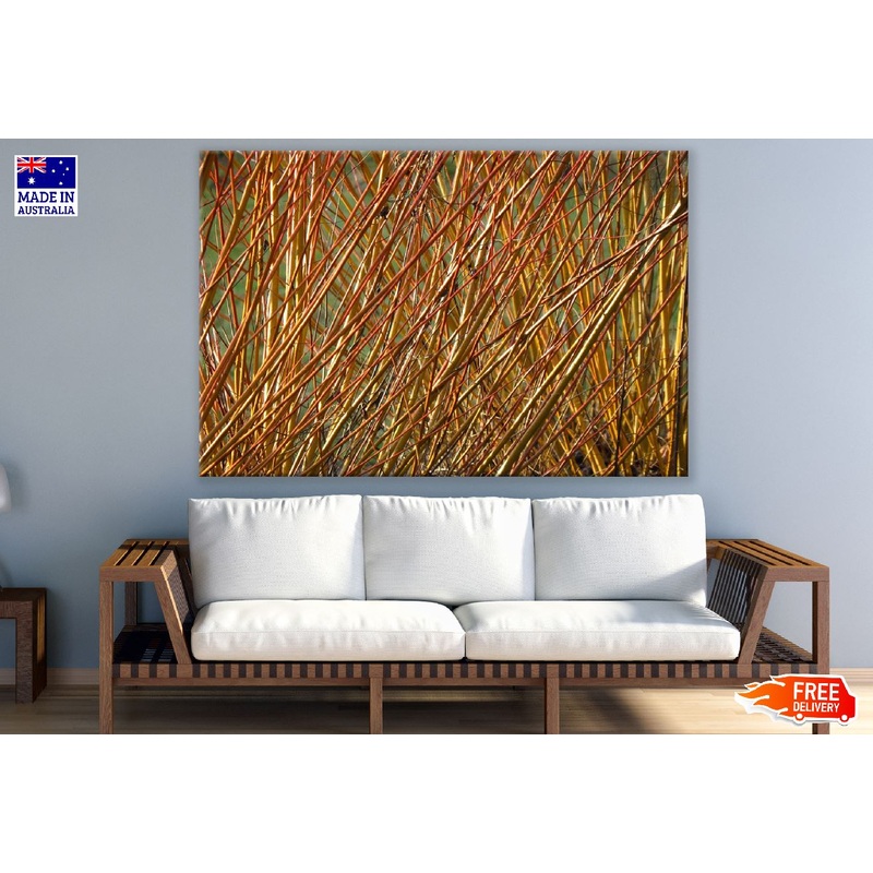 Yellow Branches Of A Willow Tree Photograph Print 100% Australian Made