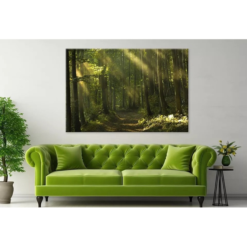 Beams Of Sunlight And Trees Wall Art Decor 100% Australian Made