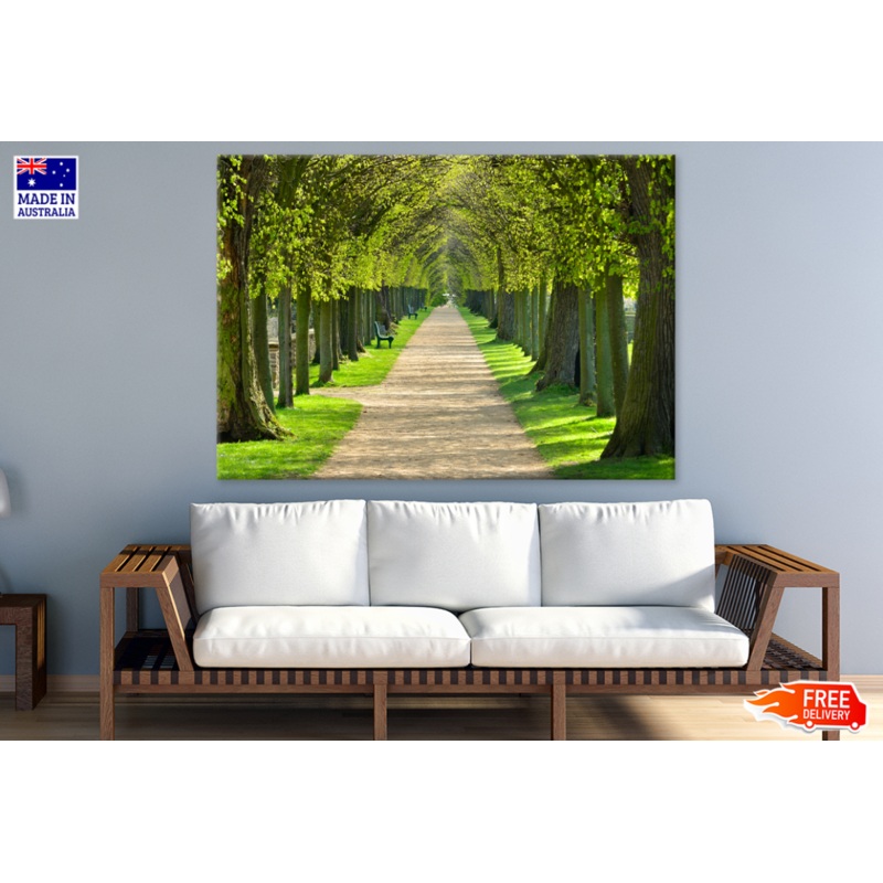 Trees & Walking Road Photograph Print 100% Australian Made