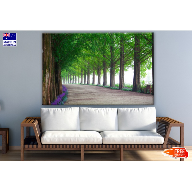 Walkway Among Tree Tunnel Photograph Print 100% Australian Made