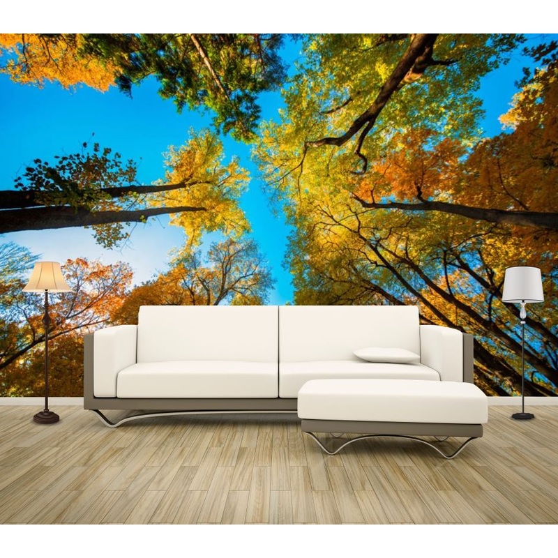 Wallpaper Murals Peel and Stick Removable Colourful Autumn Trees in Forest Photograph High Quality