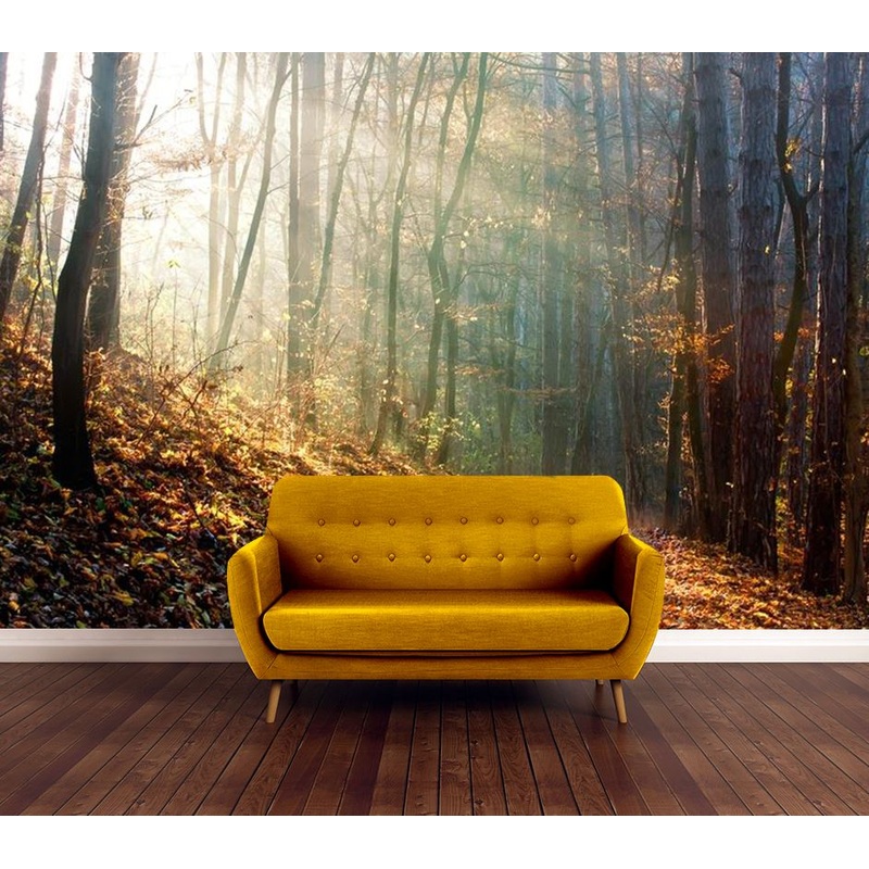 Wallpaper Murals Peel and Stick Removable Dark Forest Sunrise Photograph High Quality