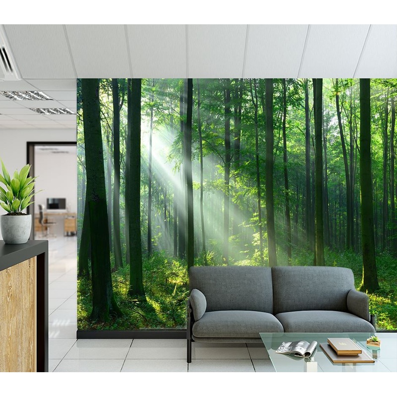 Wallpaper Murals Peel and Stick Removable Deep Forest  High Quality