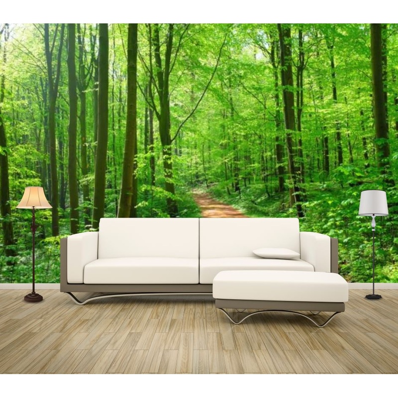 Wallpaper Murals Peel and Stick Removable Deep Forest Photograph High Quality