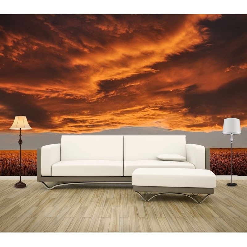 Wallpaper Murals Peel and Stick Removable Field in Sunset High Quality